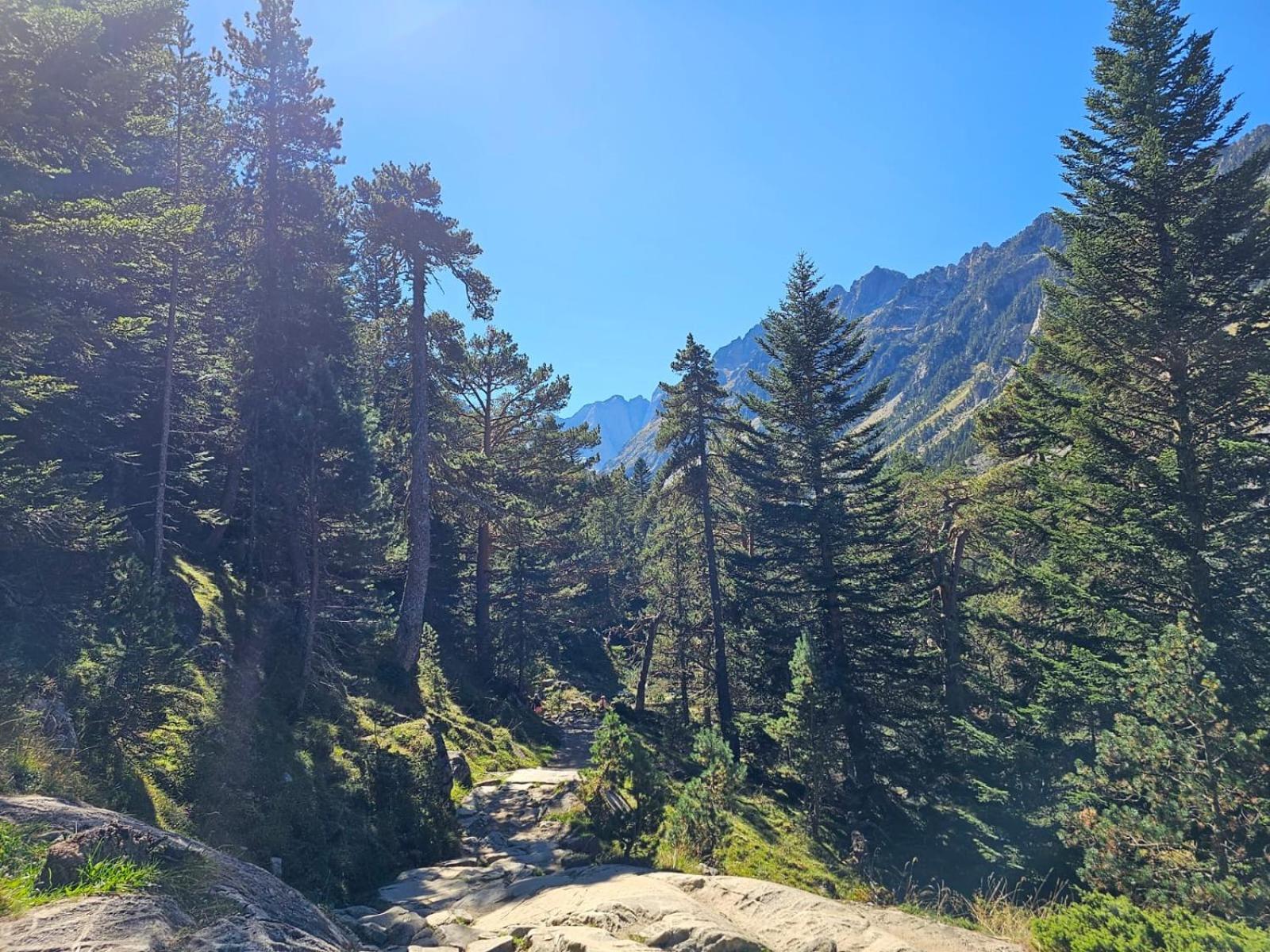 Studio Cocooning A Cauterets 3 Personnes Экстерьер фото